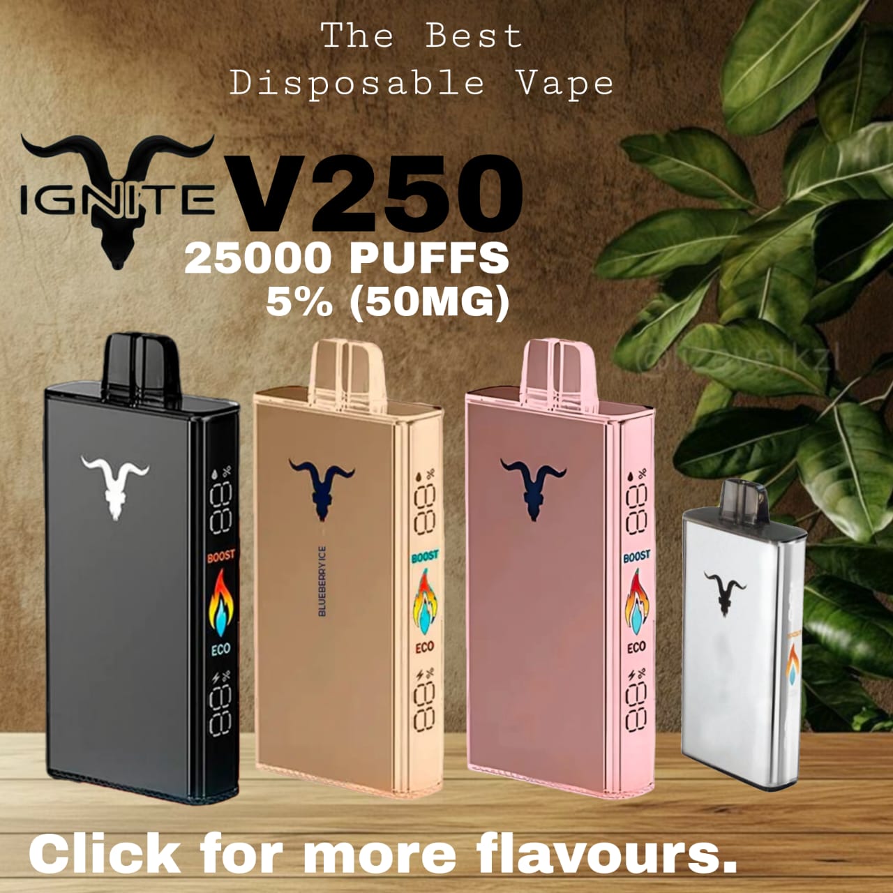 Best IGNITE  V250 Disposable Vape