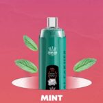 Al Fakher Crystal 8000 Puffs Mint